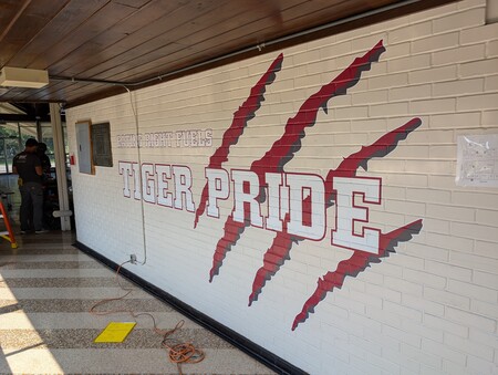 Breaux Bridge Junior High Tiger Pride After Photo